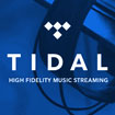 66Decibel Musicista Ascolta su Tidal